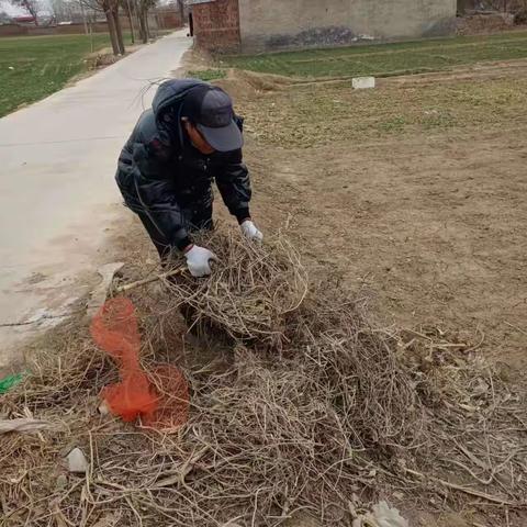 曲陌乡坚持清理河道禁烧隐患