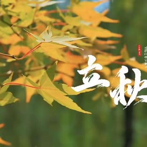 天鹅湾悦居物业服务中心8月份第二周周报