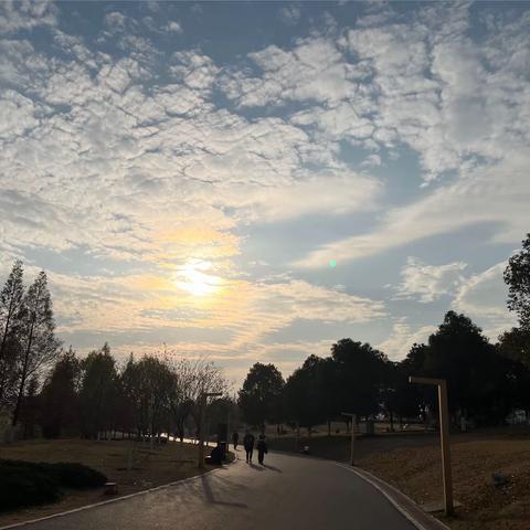 咸嘉湖景区物业服务中心12月份月报