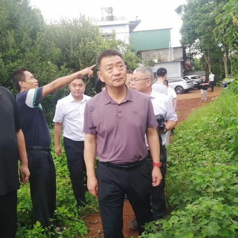 国家林草局调研海口油茶产业