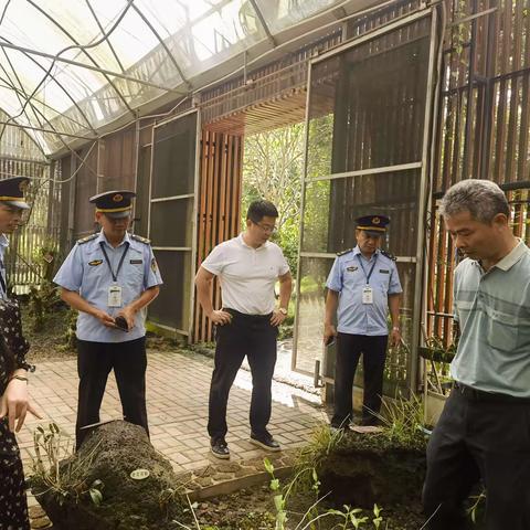 海口市林业局联合市综合行政执法局开展2023年打击制售假劣林草种苗和侵犯植物新品种权工作