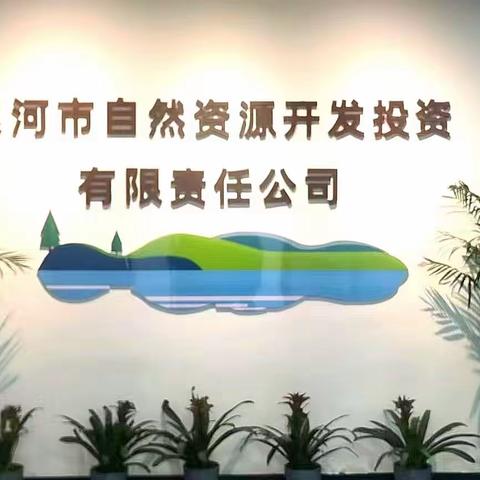 漯河市自然资源开发投资有限责任公司“三重一大”决策制度实施办法（试行）