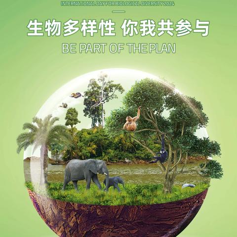 【党建+队建】生物多样性，你我共参与——上饶市明叔小学四（5）中队“国际生物多样性日”主题活动