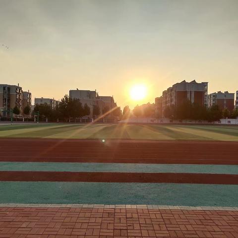 “学习二十大 争做好队员”---唐山市第十六中学建队日活动总结