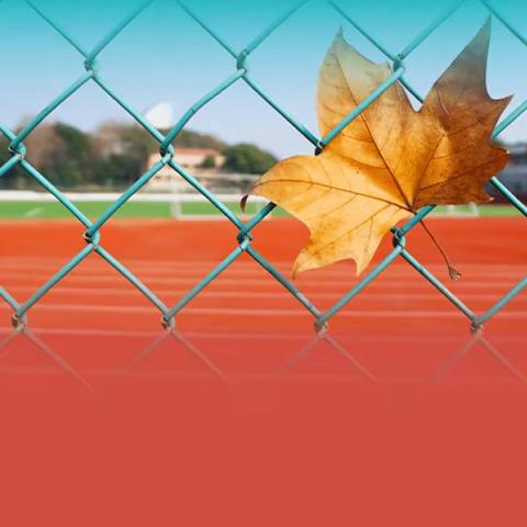 夯实教师体育课堂基础，促进教师专业成长