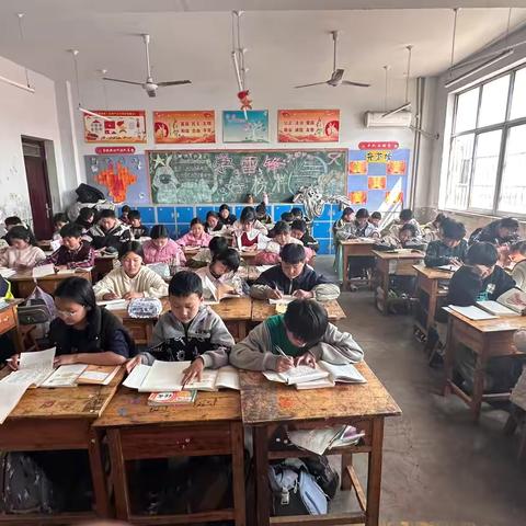 新兴镇中心小学五年级一班书香校园活动——四大名著阅读之《红楼梦》