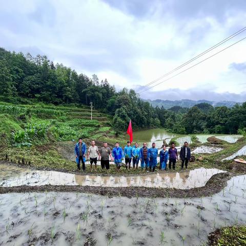 以党建为引领，让撂荒地变粮仓