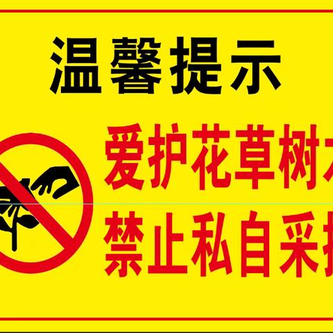 【任泽城管】守护城市绿化成果 严查攀折树枝采摘槐花行为