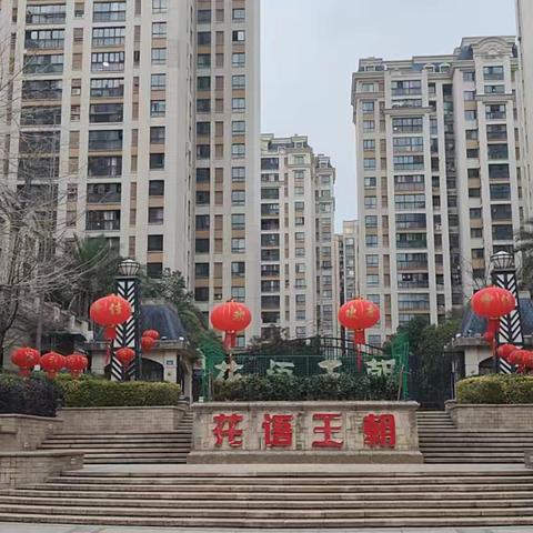 花语王朝2025年1月工作月报