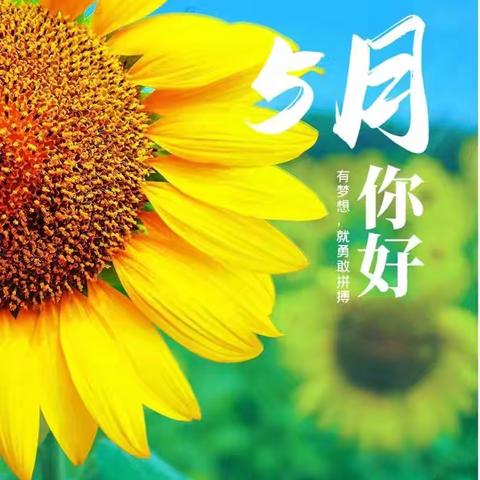 花语王朝2025年5月物业工作月报