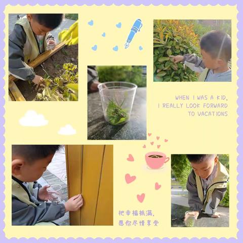 走进蜗牛🐌世界，开启探索时光——开大附小一年级科学综合实践活动