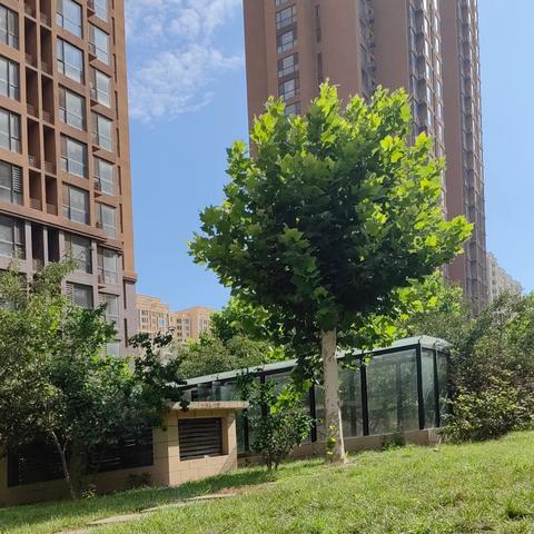 【金鼎物业】凤凰城物业服务中心2024年8月服务报告