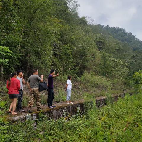 2023年6月8日龙江二级电厂与土地纠纷村民再次现场核查，解释土地纠纷情况。