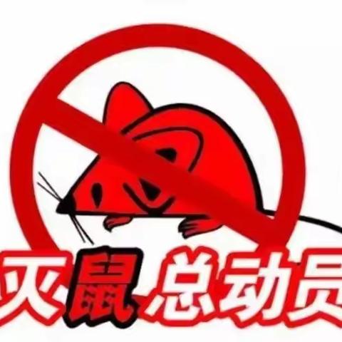 开展鼠药投放•打造健康社区