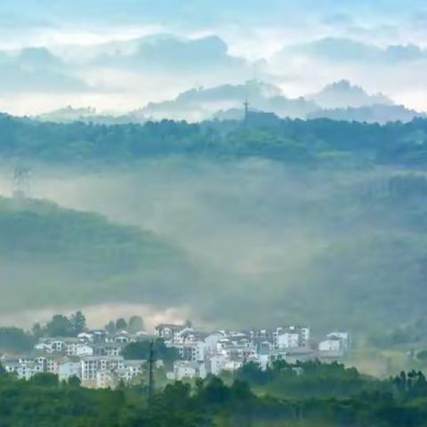 大同镇云课堂——手机摄影技巧学习