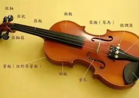 大同镇云学习——小提琴的初步认识