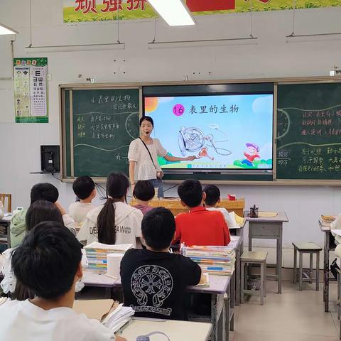 探索表里秘密，感悟科学精神——鸡泽县曹庄学区孙堡营中心小学六年级语文公开课《表里的生物》