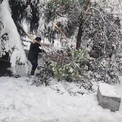 园林工人除雪忙  除雪融冰保畅通