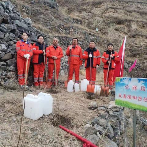 春风吹绿江南岸，植树造林美家园