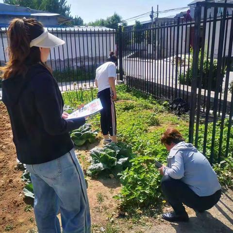 有毒必肃 种毒必究 泃阳镇全面开展禁种铲毒踏查宣传活动