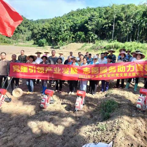 【长安工作队】党建引领产业发展  志愿服务助力夏种——上安乡长安村党支部开展“迎七一”主题党日活动