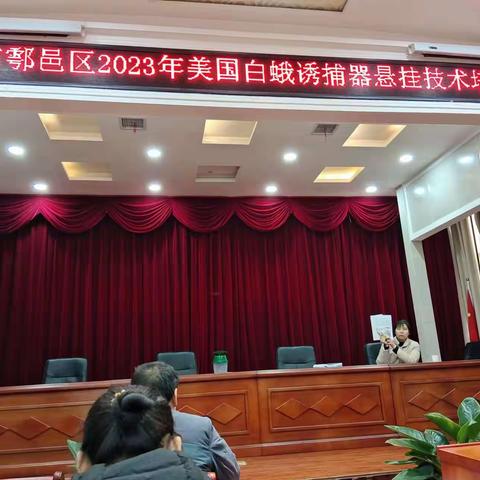 鄠邑区2023年美国白蛾网格化监测