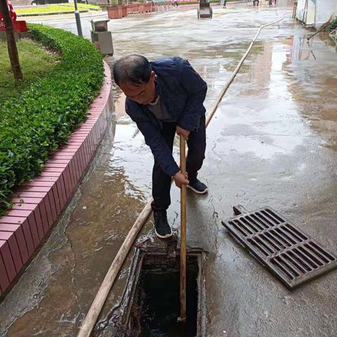 暴雨后清於    还校园清洁美丽