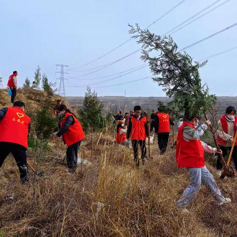 共建绿色家园·同绘生态画卷 --永寿县养老保险经办中心党支部开展2025年春季义务植树活动