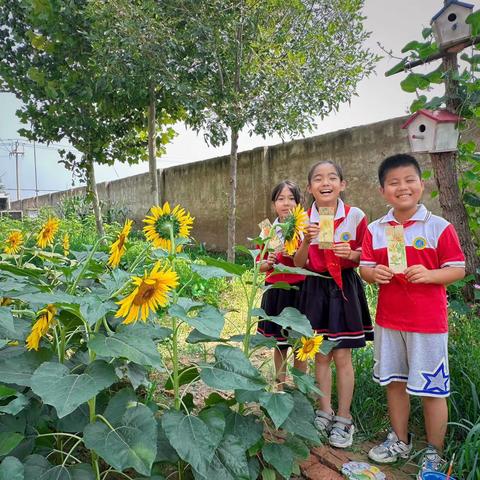 携一枚书签，读万卷好书--郑家寨镇碱店小学暑假托管活动之国画写生书签制作活动