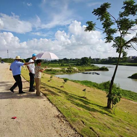 拆除违建，维护河道生态