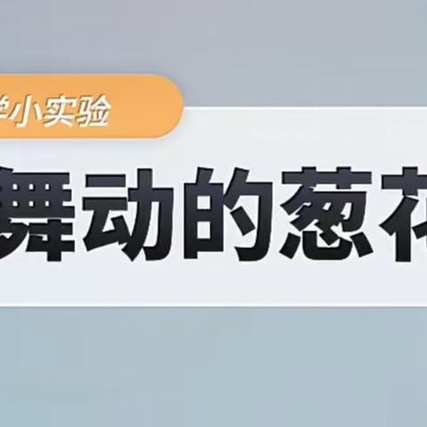 “咦？我发现了一个小秘密！”城北幼儿园科学小实验第68期之《舞动的葱花》