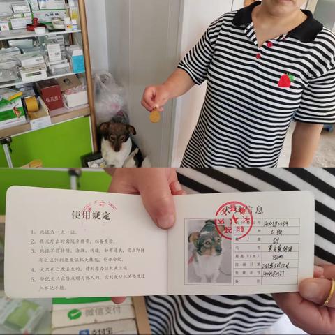 长子县公安局开展流浪犬专项整治行动六月份工作简报第一期