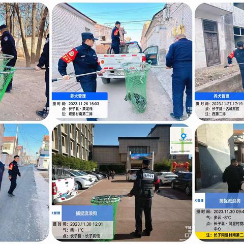 长子县公安局流浪犬专项整治行动十一月份工作月报