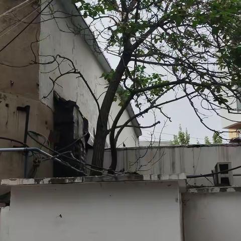 社区暖心助力 树木伐除守护安全与和谐