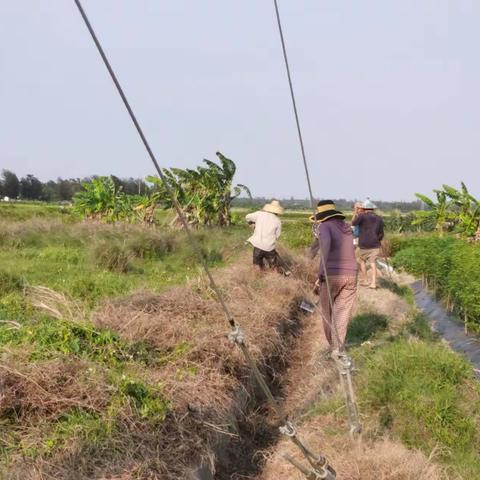 录家村委会开展“六水共治”活动