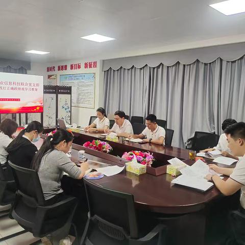 海垦商贸实业信息科技联合党支部开展树立和践行正确政绩观学习教育