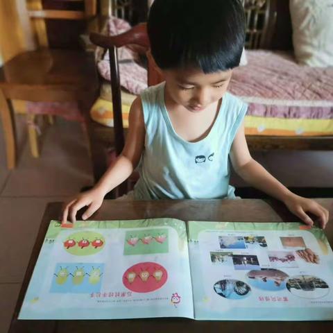 鼓楼巷幼儿园小班，“绘本留声机”第十七期——《我的家乡》。