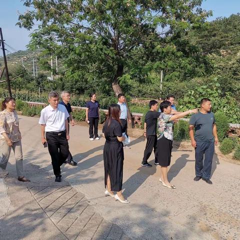 区领导李娅丽同志带队到下温峪村走访调研