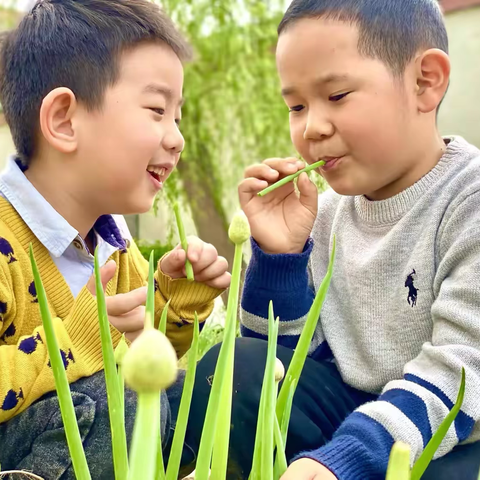 大班课程故事《情绪从遇见开始﻿》