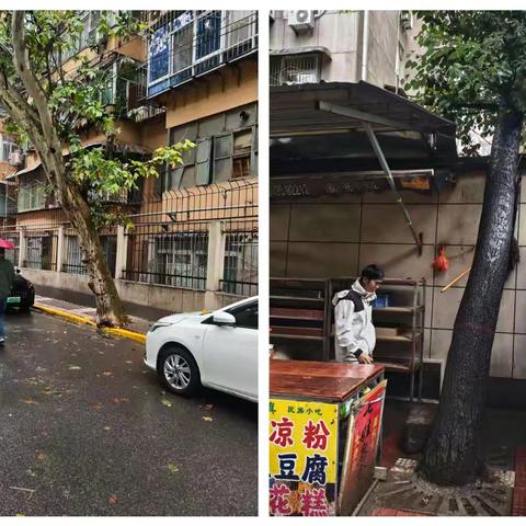 洒金桥社区守护“头顶”安全 | 西仓北巷树木“理发”记，剪出居民满满安全感