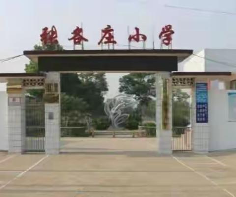 紧抓时代脉搏，立足乡村教育——张各庄小学学习贯彻党的二十大精神 加快建设高质量教育体系活动