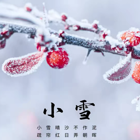 小雪初至，冬趣已始