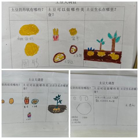 “土豆之旅”——固厚乡公立幼儿园“三真”校园文化“真教育”系列之大一班班本课程主题活动