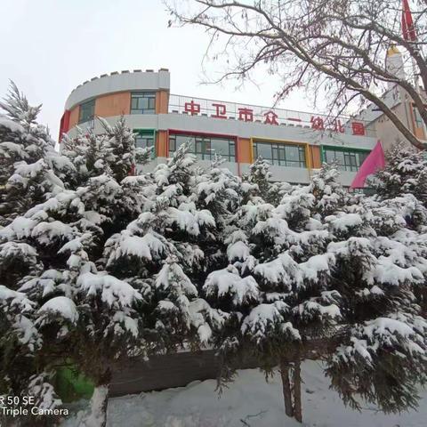 雪花🌨️飞扬、诗意如歌