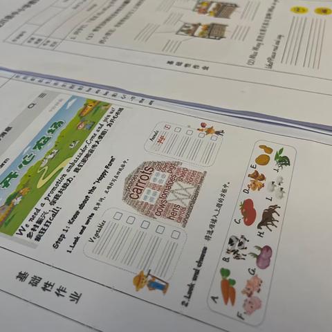 走心作业用心设，减负增质促成长——戴家埔中心小学作业设计大赛