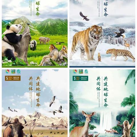 保护生物多样性，我们在行动——长治四中举行"校园植物辨认、挂牌、统计"主题活动