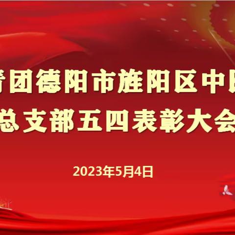 共青团旌阳区中医院团总支五四青年节表彰会顺利召开