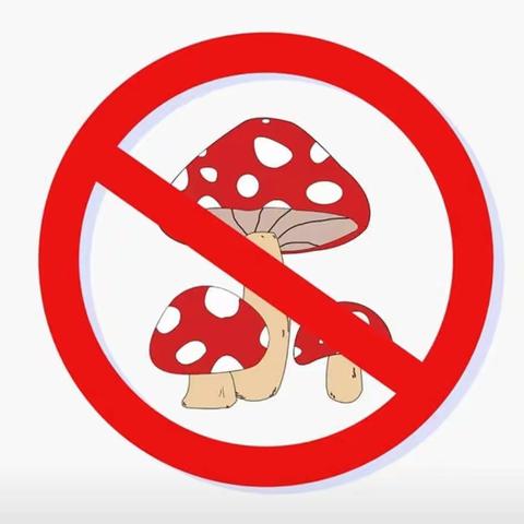 珍爱生命，拒绝野生毒蘑菇———增桥光辉小学禁食野蘑菇安全教育提醒