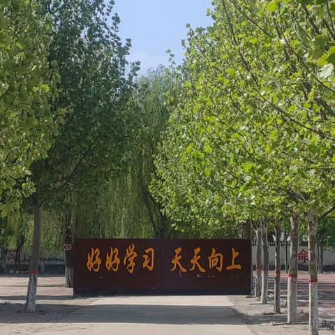 虚拟实验在高中生物教学中的应用——邱县贺堡民族小学信息周五直播课堂学习纪实