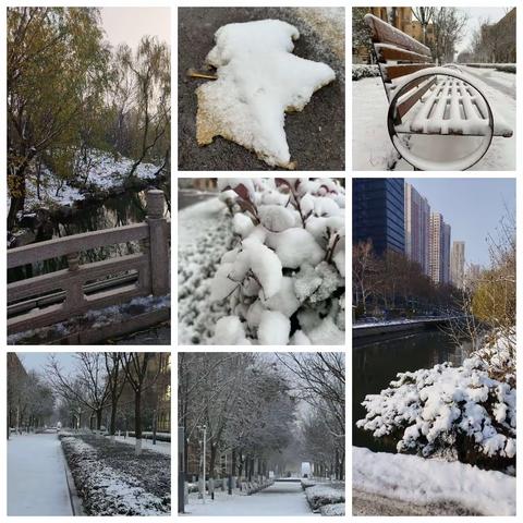 弘扬中华文化 ，感受汉字之美——天成路小学开展“百词听写，书写成长”比赛